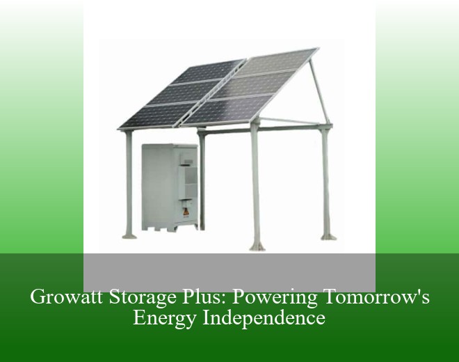 Growatt Storage Plus: Powering Tomorrow's Energy Independence